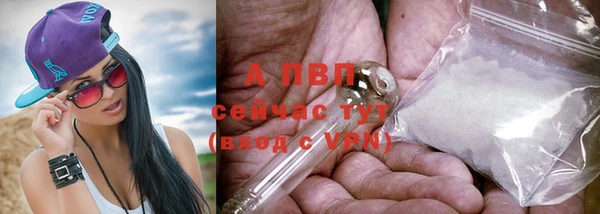 прущая мука Инта