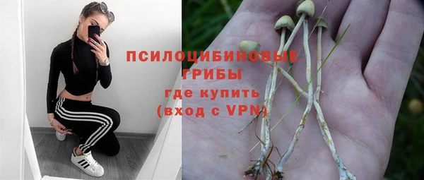 прущая мука Инта
