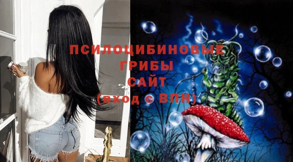 тгк Иннополис