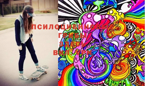 прущая мука Инта