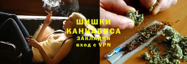 прущая мука Инта